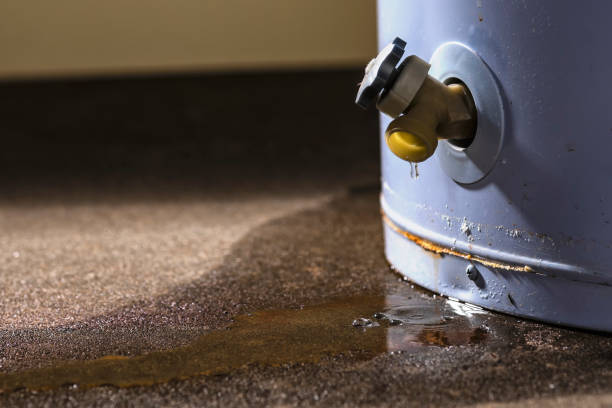 Best Local water damage restoration  in Joppatowne, MD