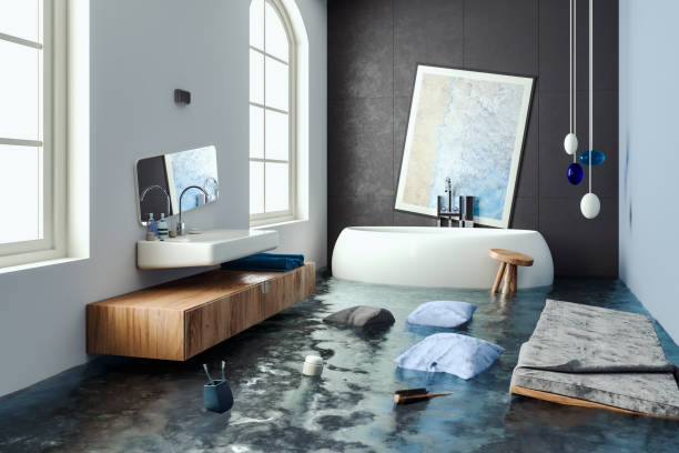Best 24/7 water damage repair  in Joppatowne, MD