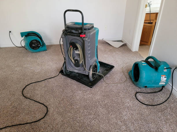  Joppatowne, MD Water damage restoration Pros