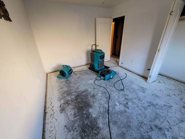 Best Carpet water damage restoration  in Joppatowne, MD