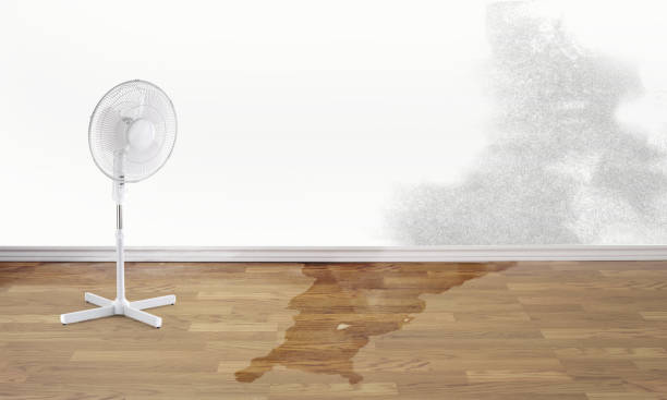 Professional Water damage restoration in Joppatowne, MD