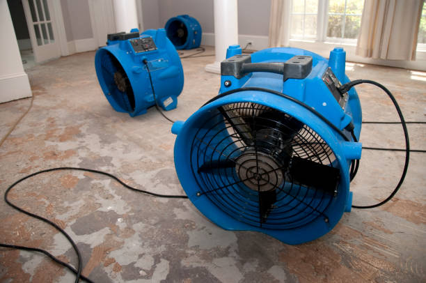  Joppatowne, MD Water damage restoration Pros