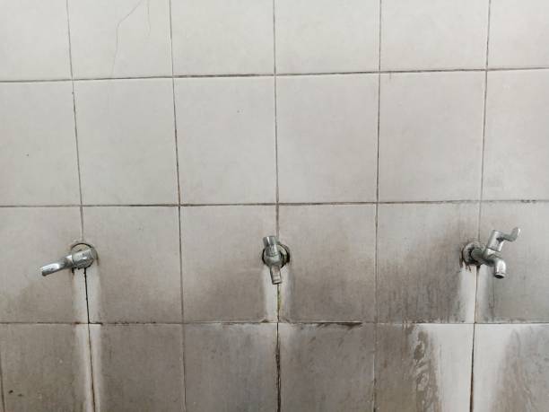 Best Basement water damage restoration  in Joppatowne, MD