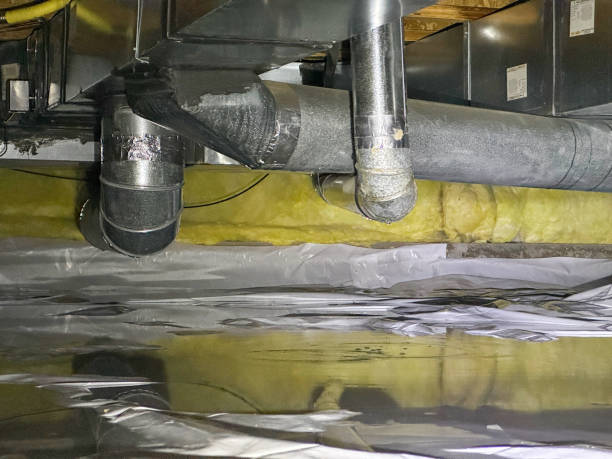 Best Water damage restoration services  in Joppatowne, MD
