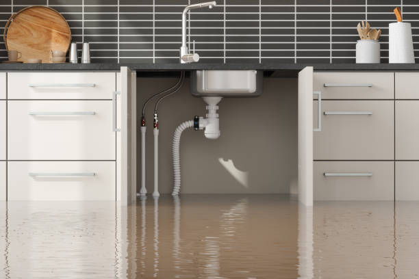 Best 24-hour water damage restoration  in Joppatowne, MD