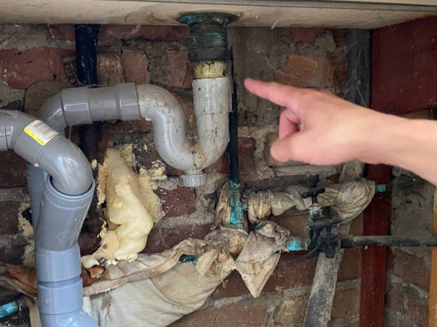 Best Water damage restoration company  in Joppatowne, MD
