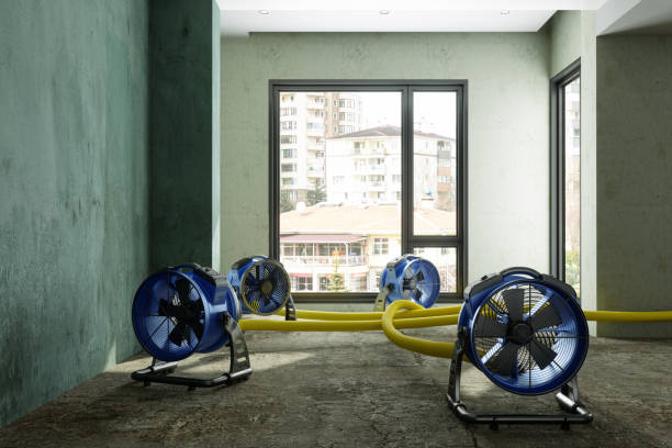 Best Water damage restoration near me  in Joppatowne, MD