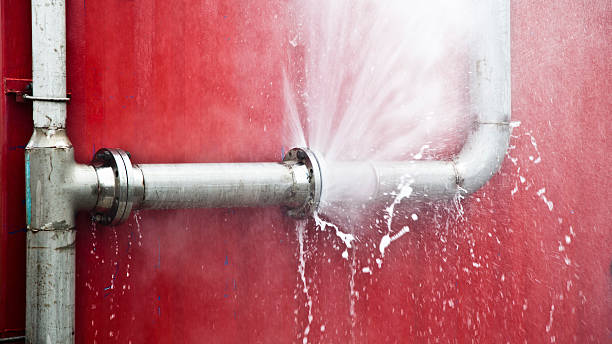 Best Ceiling water damage repair  in Joppatowne, MD