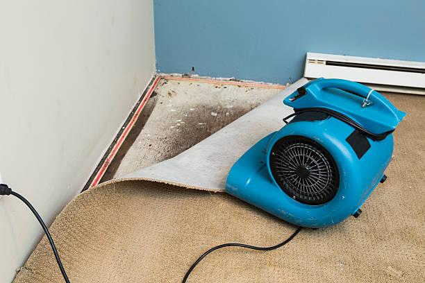 Best Water damage restoration cost  in Joppatowne, MD
